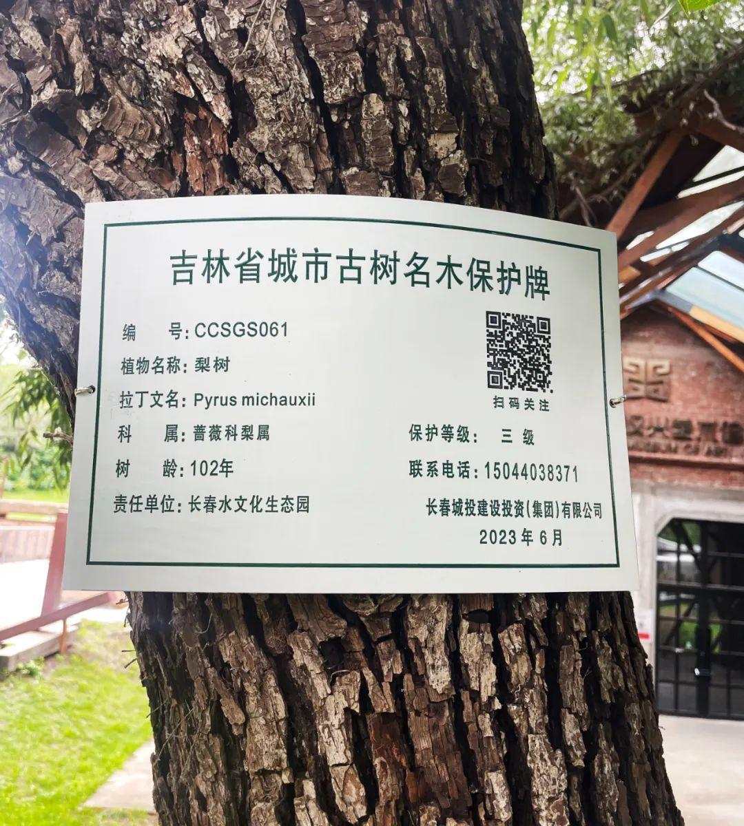 尊龙凯时·(中国集团)官方网站